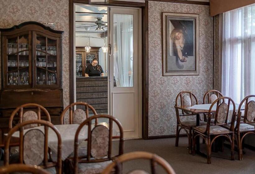 Пансион Aurantola