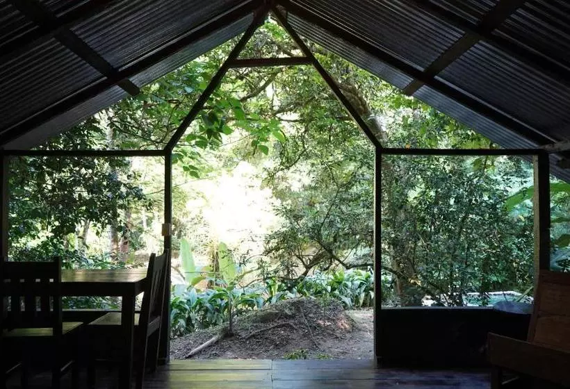 Majatalo Los Mineros Guesthouse