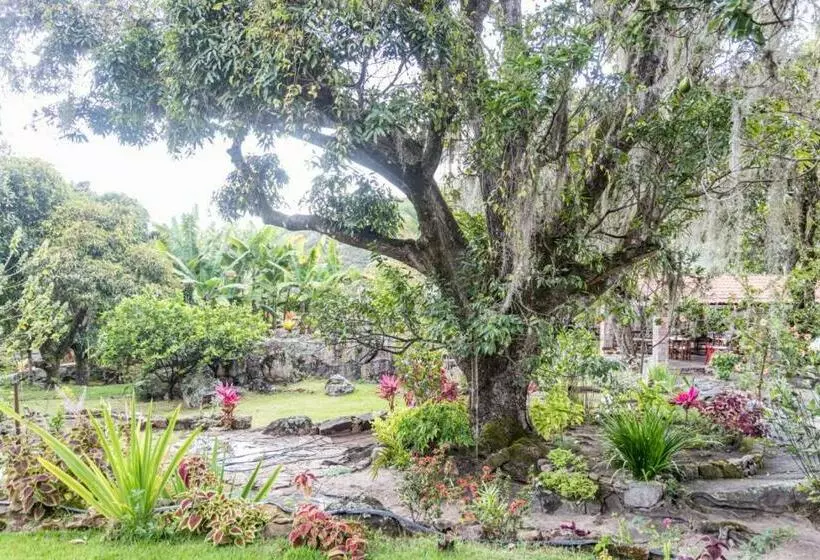 ペンション Pousada Dona Lita