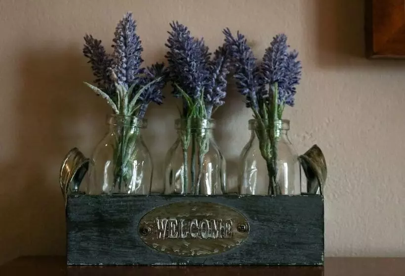 The Hollybush Inn And B&b