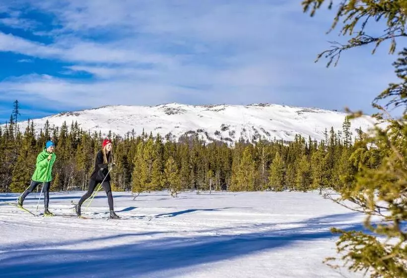 Trillevallens Högfjällshotell & Lägenheter