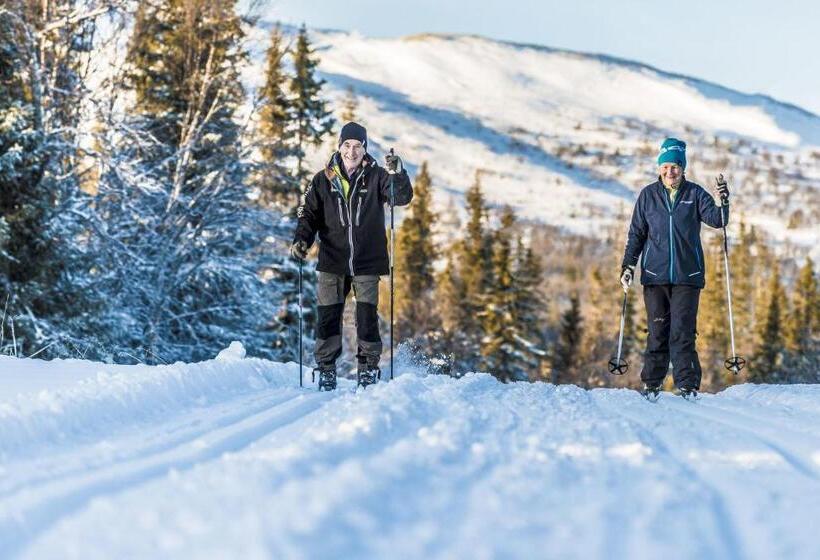 Trillevallens Högfjällshotell & Lägenheter