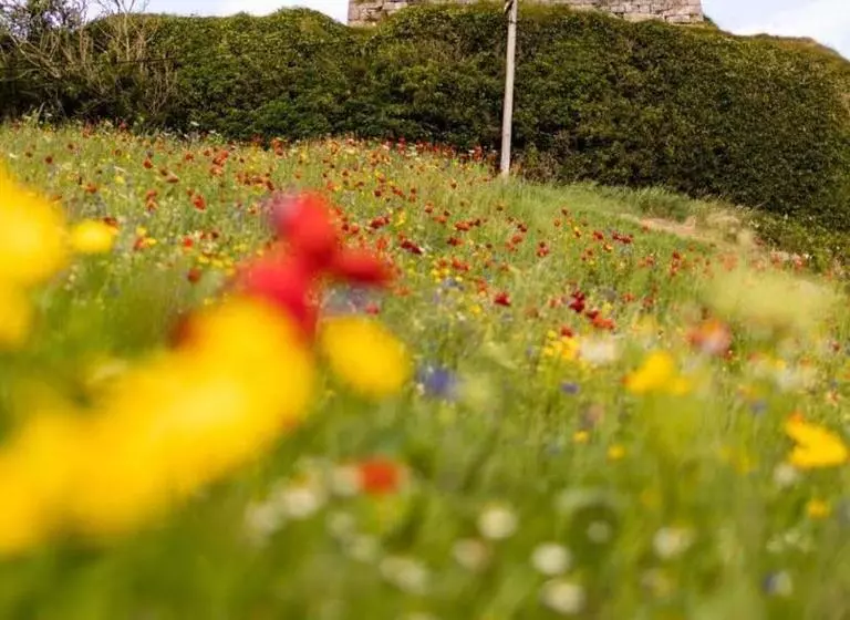 호텔 Ballinalacken Castle Country House