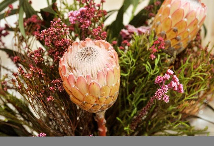 فندق The Blarney Stone Guesthouse