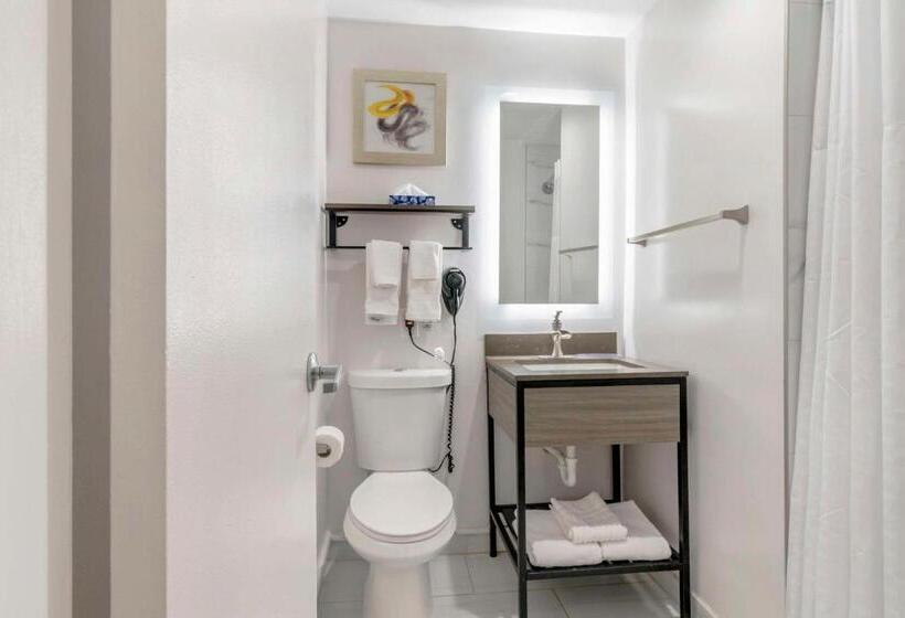 فندق Comfort Inn