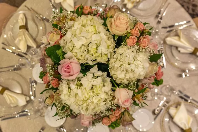 فندق The Westin Fort Lauderdale