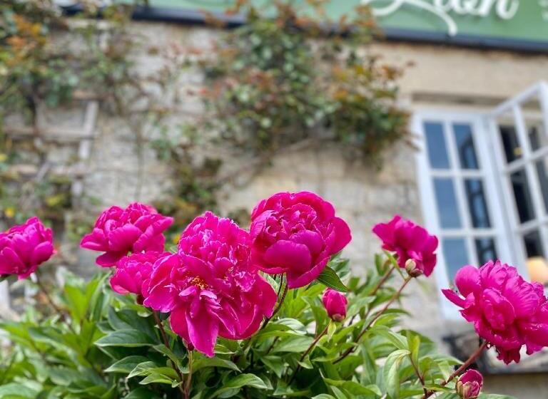 ユースホステル The Lion At West Pennard