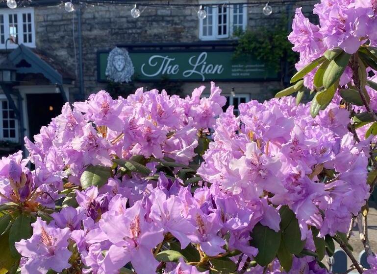 ユースホステル The Lion At West Pennard