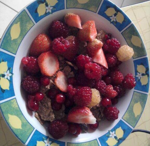 ベッドアンドブレックファースト Chambres D'hôtes Le Forgeron