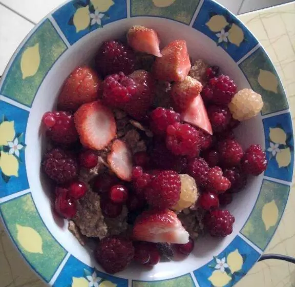 Aamiaismajoitus (B&B) Chambres D'hôtes Le Forgeron