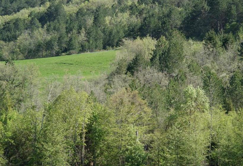 ベッドアンドブレックファースト Domaine De Luzenac