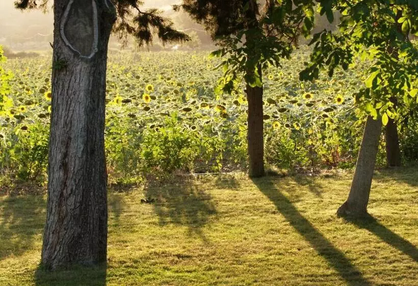 Aamiaismajoitus (B&B) Domaine De Luzenac