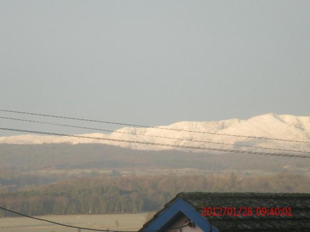 민박 Plumtree House