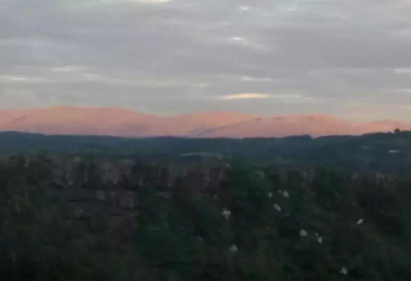 Aamiaismajoitus (B&B) Plumtree House