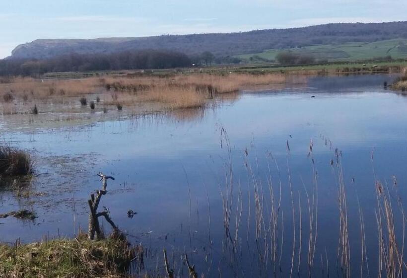 민박 Plumtree House