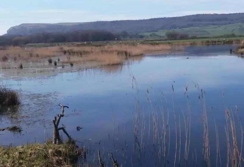 Aamiaismajoitus (B&B) Plumtree House