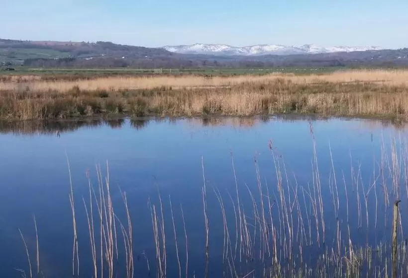 Aamiaismajoitus (B&B) Plumtree House