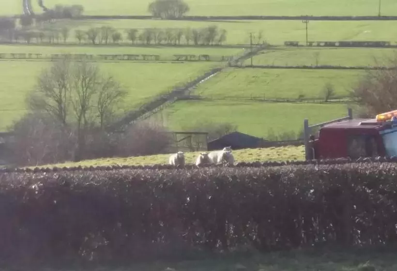 Aamiaismajoitus (B&B) Plumtree House