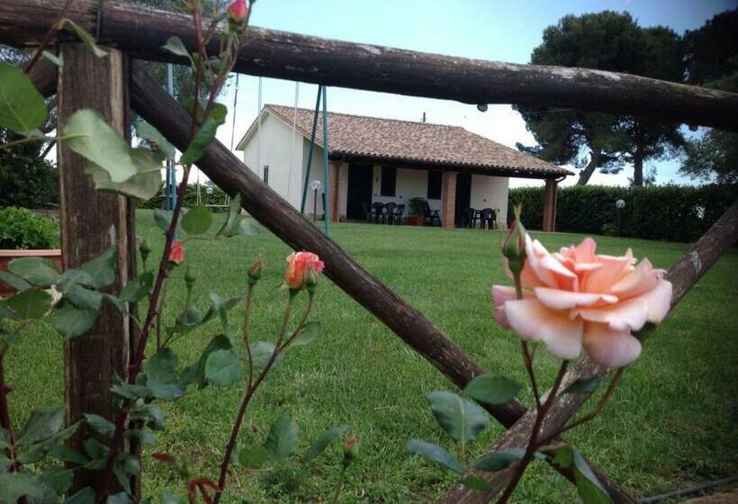 호텔 Agriturismo Belvedere