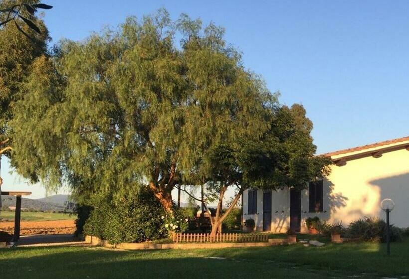 Отель Agriturismo Belvedere