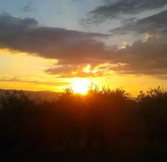 Hotelli Agriturismo Il Truffarello Todi