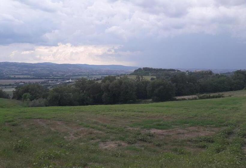 酒店 Agriturismo Il Truffarello Todi