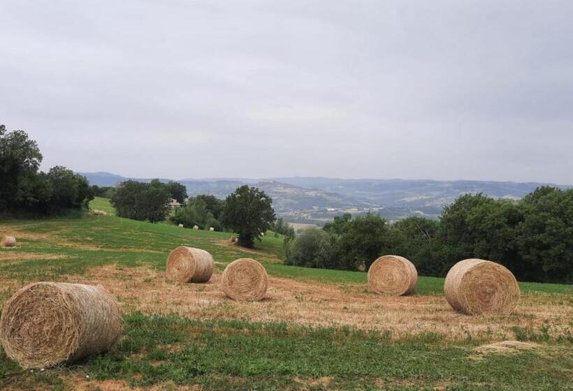 酒店 Agriturismo Il Truffarello Todi