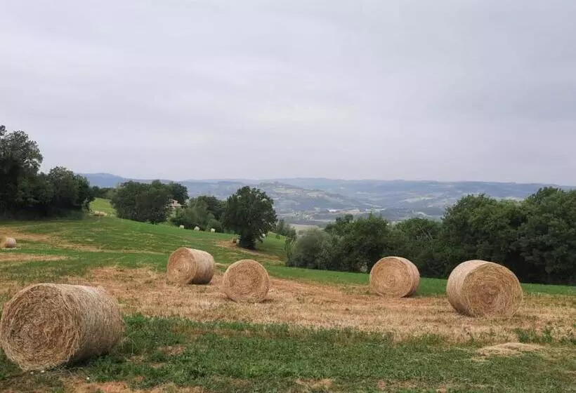 Hotelli Agriturismo Il Truffarello Todi