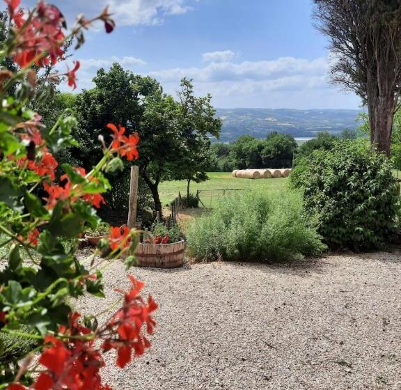 酒店 Agriturismo Il Truffarello Todi