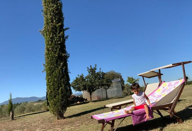 Отель Agriturismo Palazzo Val Del Sasso