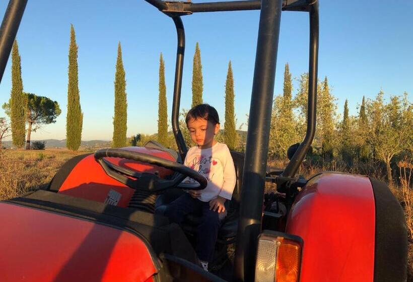 Отель Agriturismo Palazzo Val Del Sasso