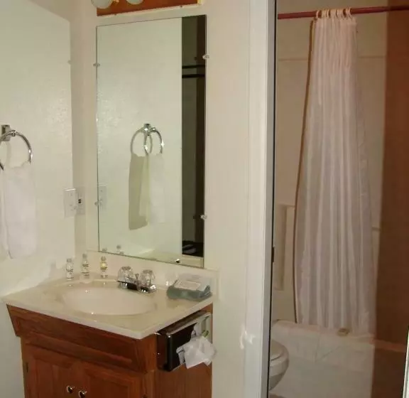 モーテル Mountain View Motor Inn