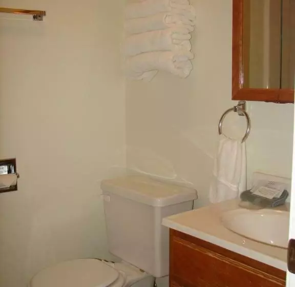 モーテル Mountain View Motor Inn