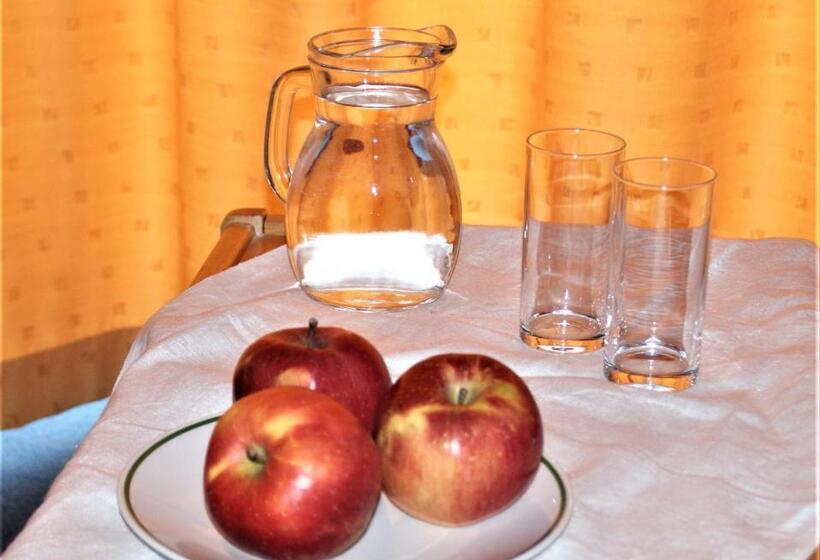 Пансион Gasthof & Gästehaus Trummer