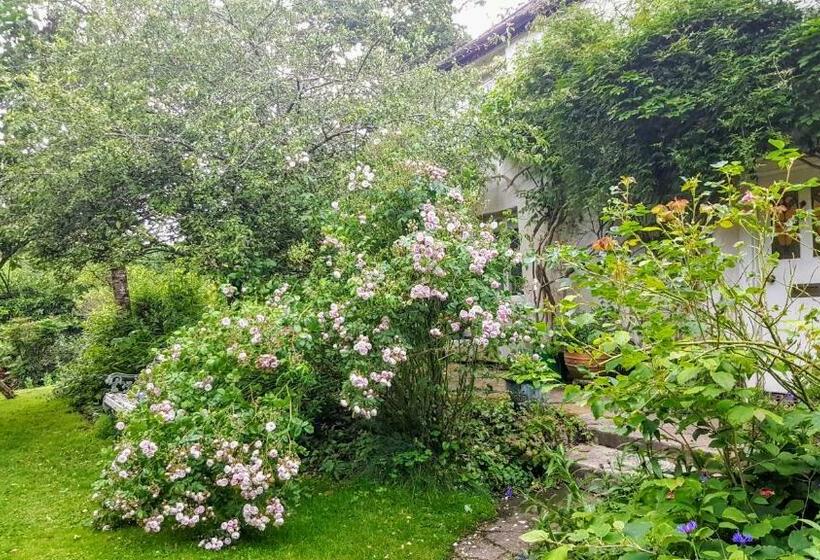 Tracebridge Cottage B&b