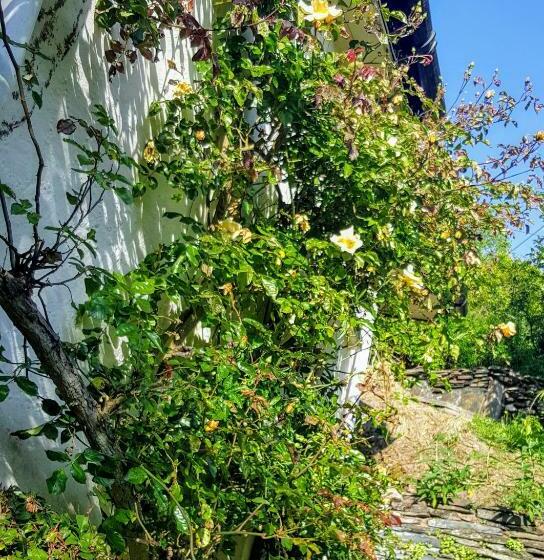 Tracebridge Cottage B&b