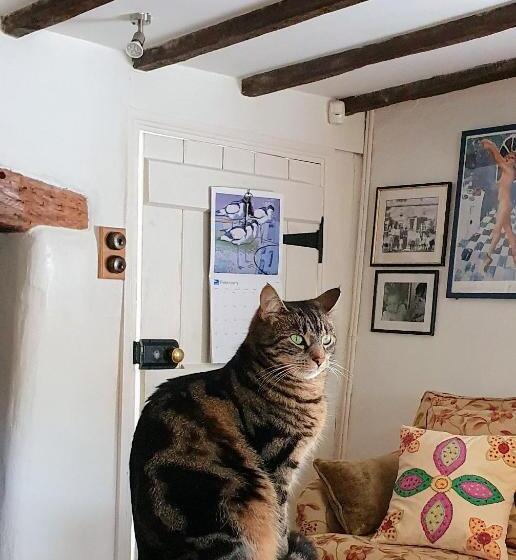 Tracebridge Cottage B&b