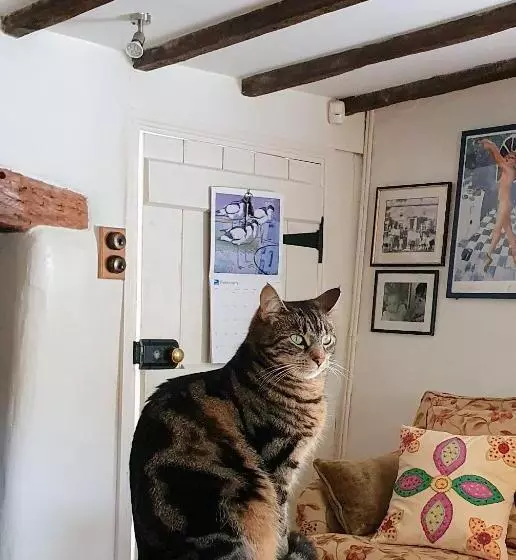 Tracebridge Cottage B&b