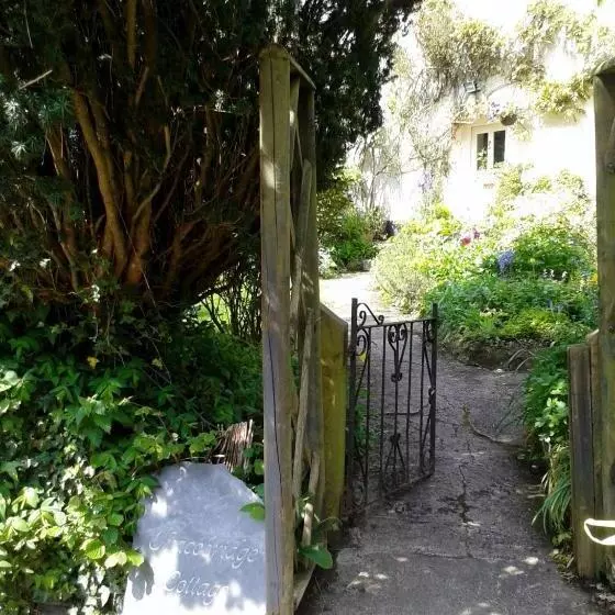 Tracebridge Cottage B&b