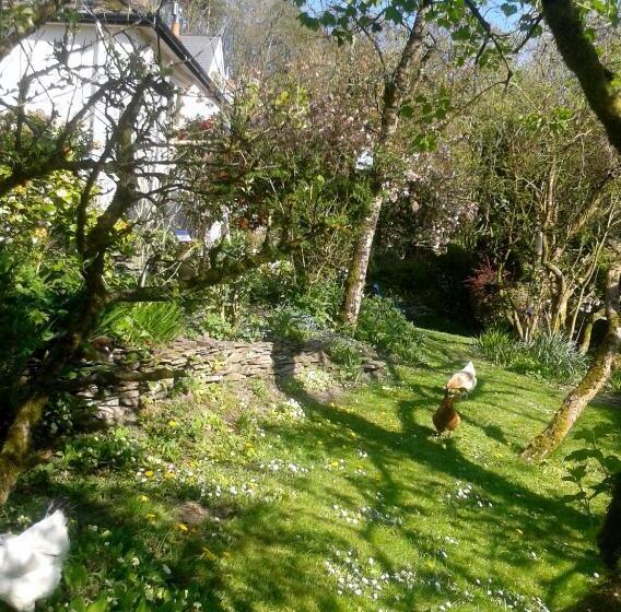 Tracebridge Cottage B&b