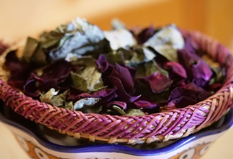 בית מלון כפרי Royal Luxury Camp