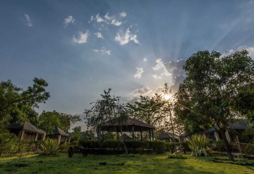 ホテル Camp Serai Tiger Tadoba