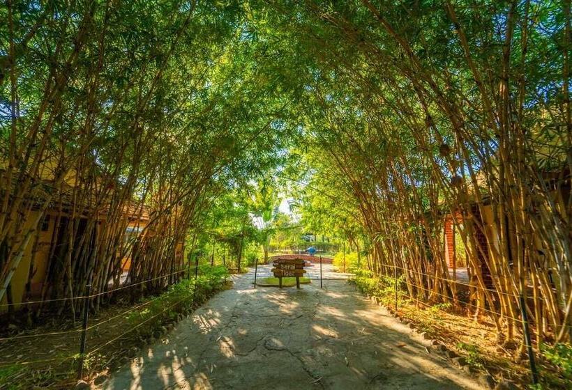 ホテル Camp Serai Tiger Tadoba