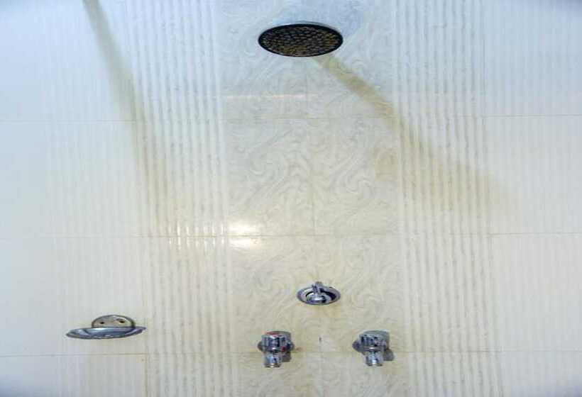 Отель Parvati Palace Sehore