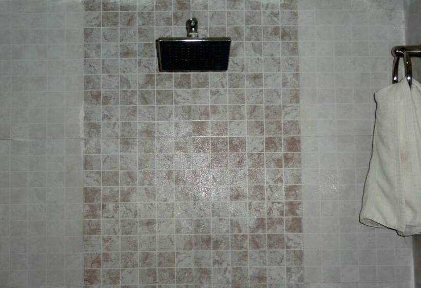 Отель Parvati Palace Sehore