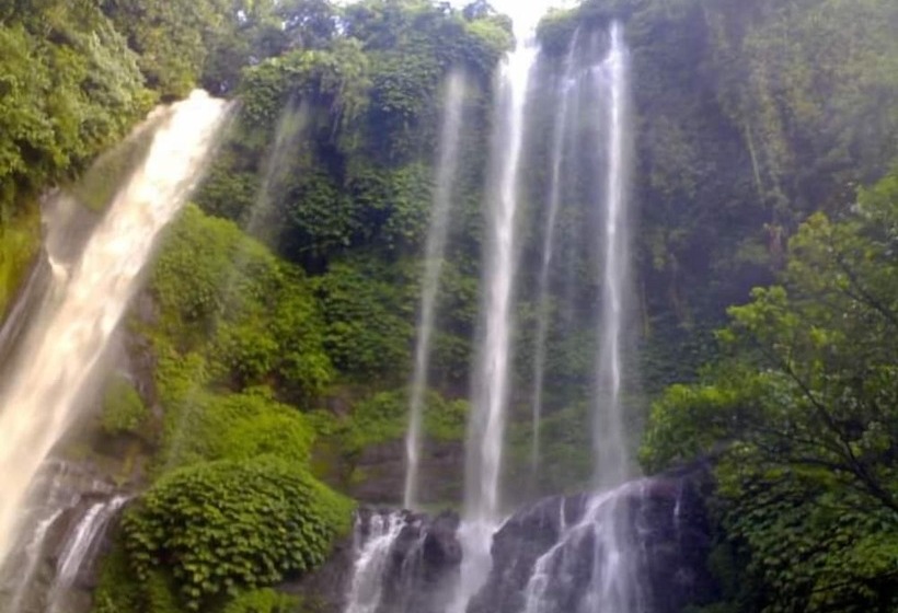 Отель Pondok Wisata Sartaya 2