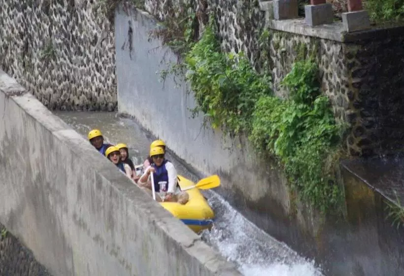 ホテル Dong Loka Guesthouse Bali