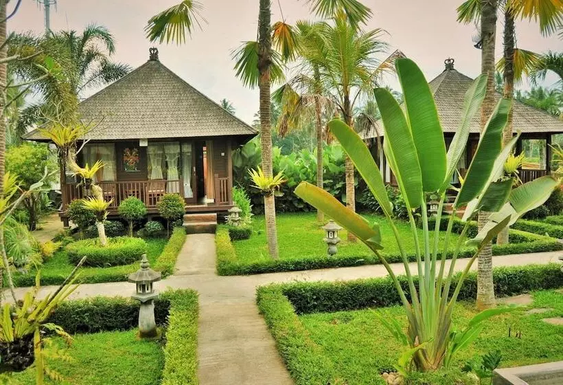ホテル Dong Loka Guesthouse Bali