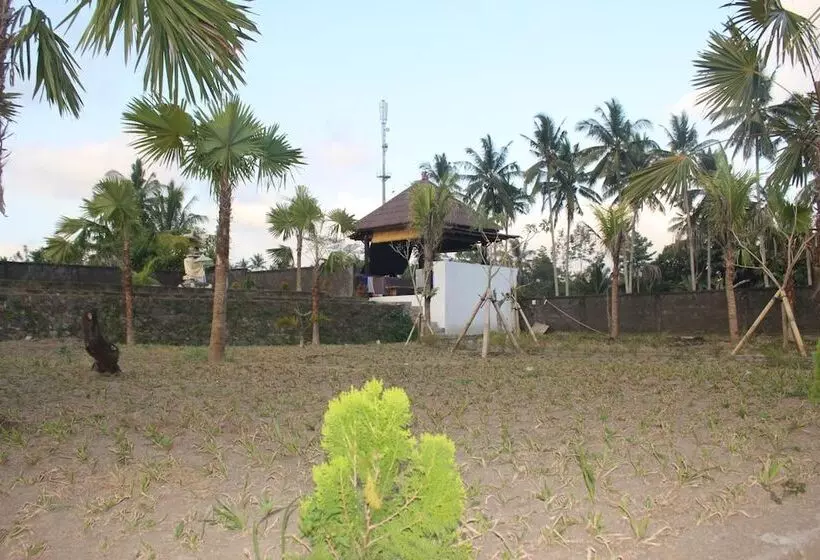 ホテル Dong Loka Guesthouse Bali