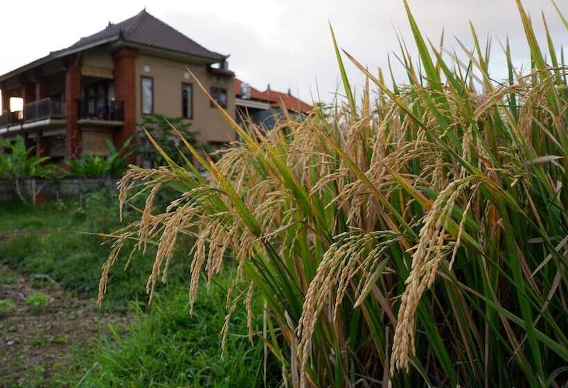 ペンション Wayan Garden